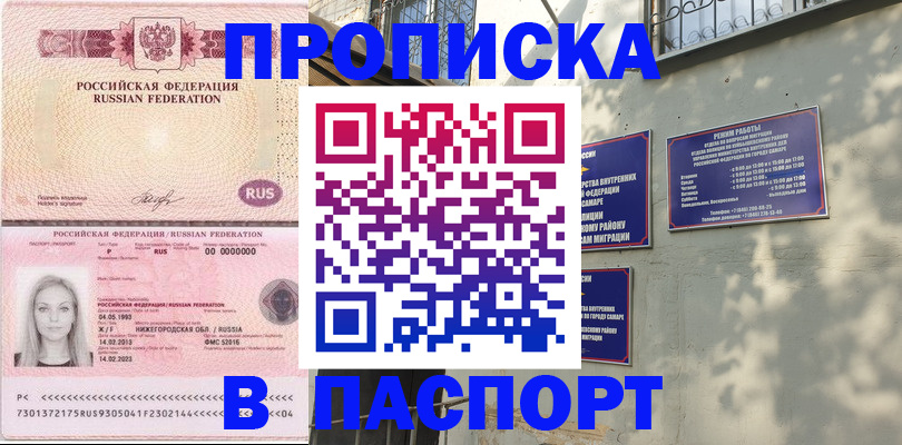прописка в Курске